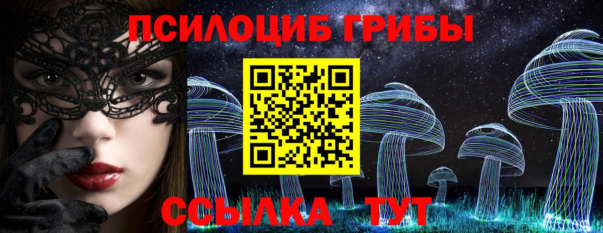Псилоцибиновые грибы GOLDEN TEACHER Гулькевичи